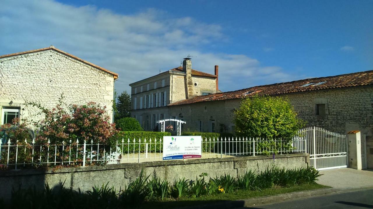 Les Gîtes du Vigneron et Cd'h Saint-Seurin-de-Palenne Extérieur photo