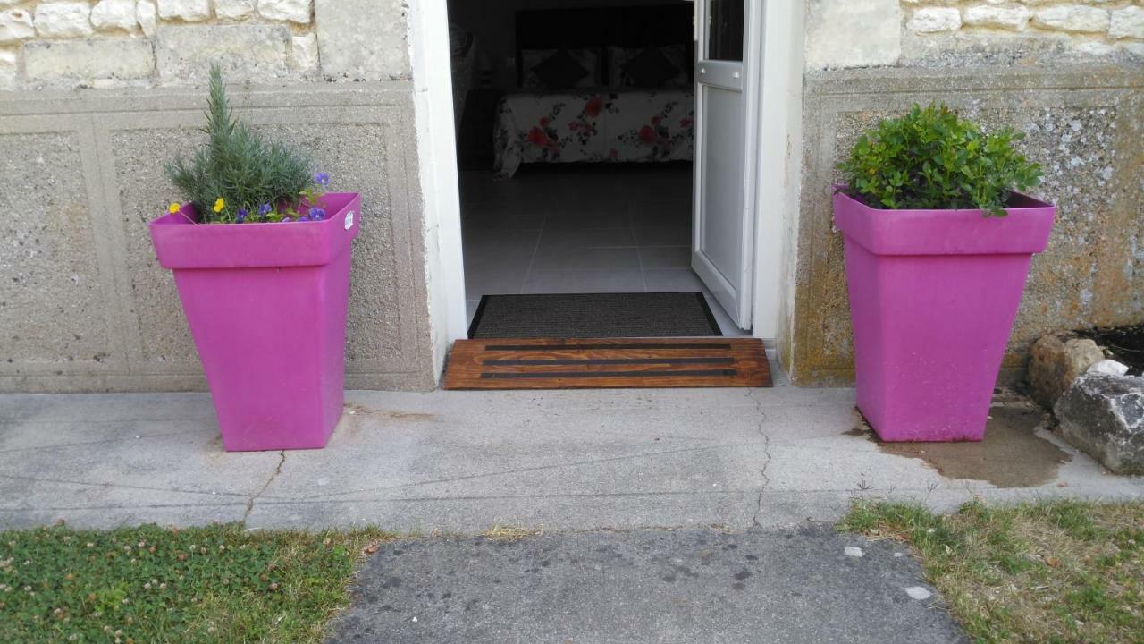 Les Gîtes du Vigneron et Cd'h Saint-Seurin-de-Palenne Extérieur photo